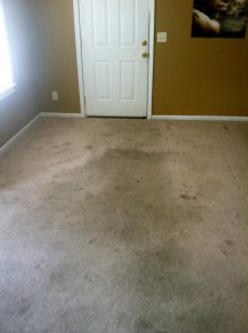 Xtreme Dry Carpet Cleaning Before 2
