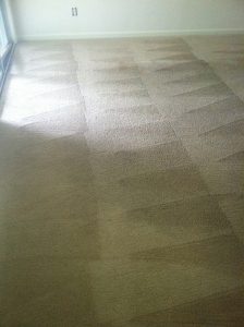Xtreme Dry Carpet Cleaning After 1