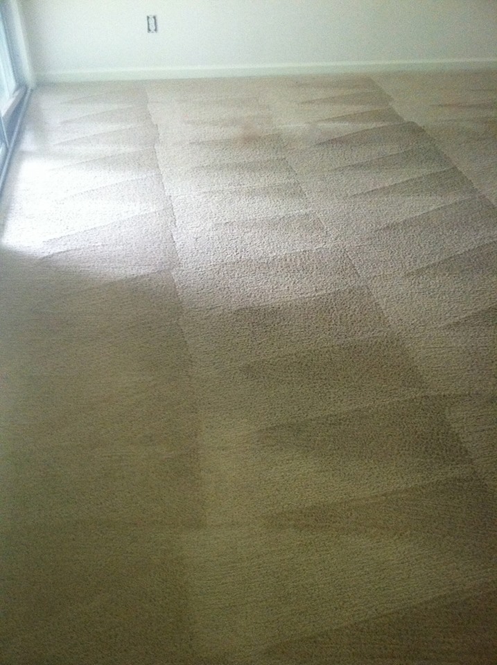 Xtreme Dry Carpet Cleaning After 1