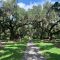 Brookgreen Gardens oak trees