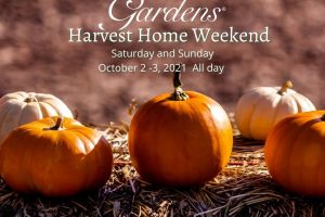 Harvest Home Weekend_InstagramV3