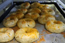 The Bagel Factory cheese bagels