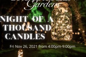 NIght of a thousand candles